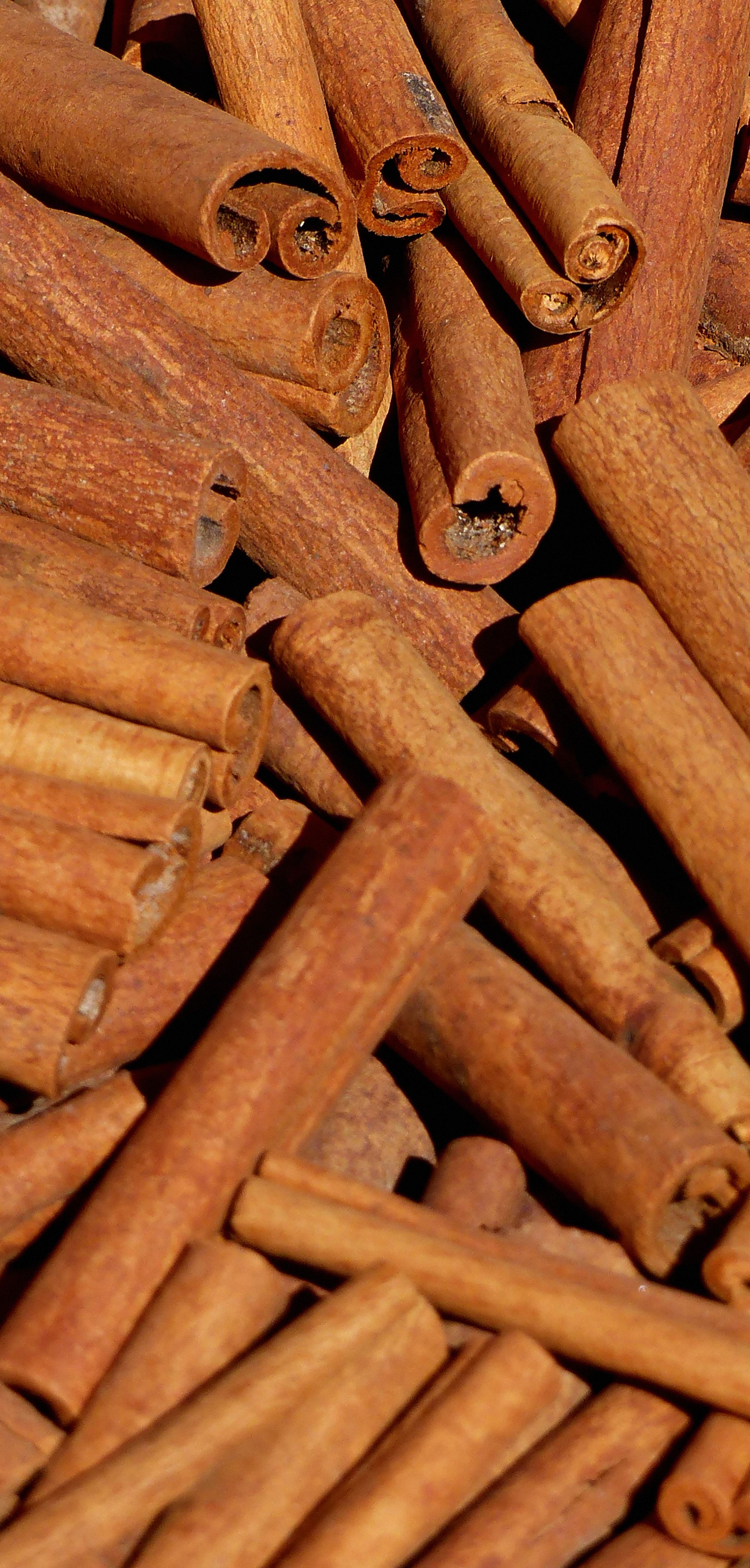 Cinnamon Bark